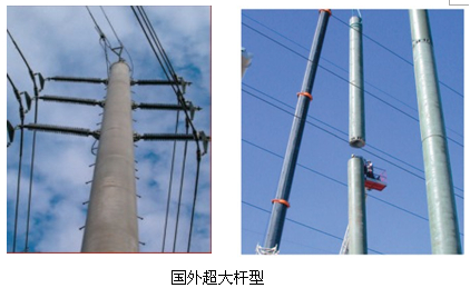 國外超大桿型